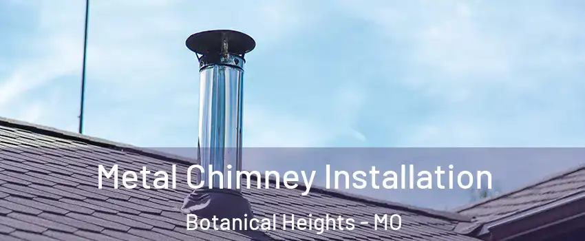 Metal Chimney Installation Botanical Heights - MO