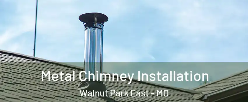 Metal Chimney Installation Walnut Park East - MO