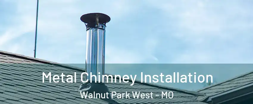 Metal Chimney Installation Walnut Park West - MO