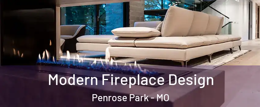 Modern Fireplace Design Penrose Park - MO