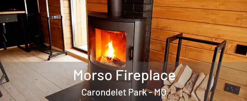 Morso Fireplace Carondelet Park - MO