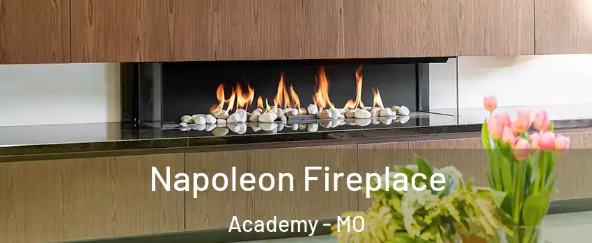 Napoleon Fireplace Academy - MO