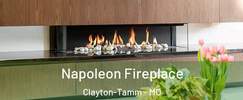 Napoleon Fireplace Clayton-Tamm - MO