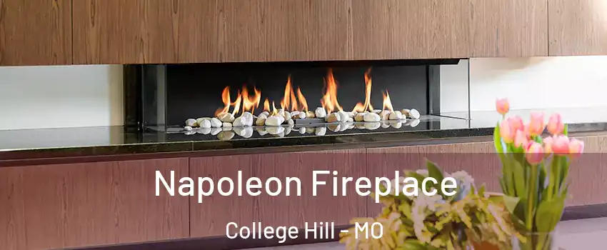 Napoleon Fireplace College Hill - MO