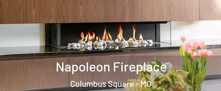 Napoleon Fireplace Columbus Square - MO