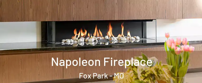Napoleon Fireplace Fox Park - MO