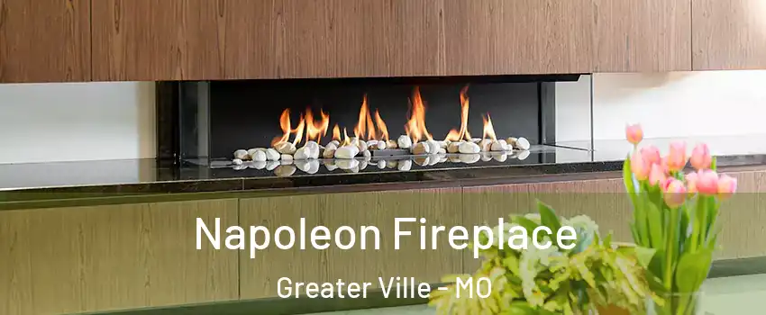 Napoleon Fireplace Greater Ville - MO