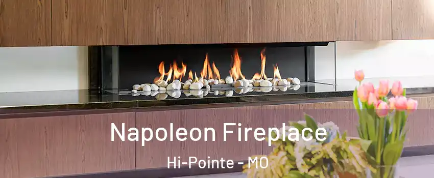 Napoleon Fireplace Hi-Pointe - MO