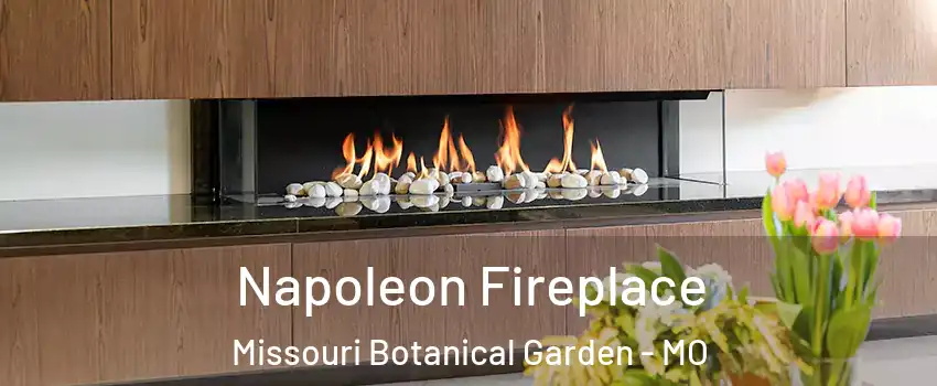 Napoleon Fireplace Missouri Botanical Garden - MO