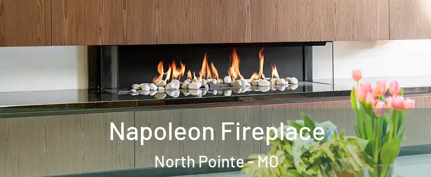 Napoleon Fireplace North Pointe - MO