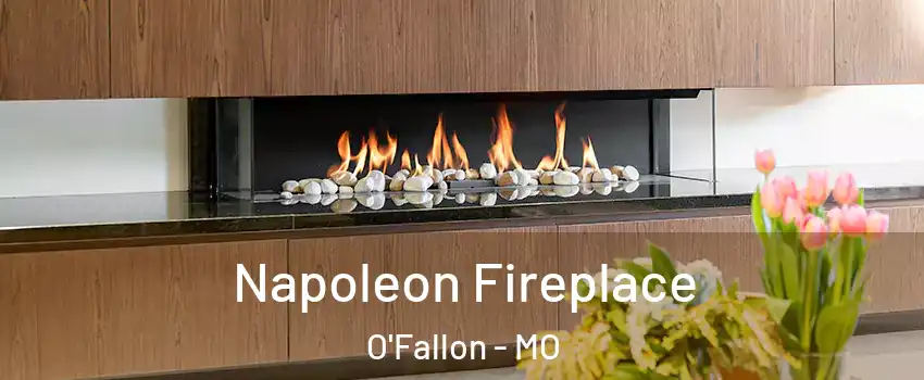 Napoleon Fireplace O'Fallon - MO