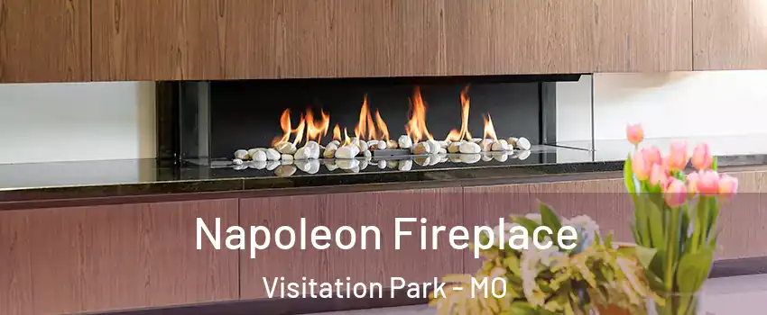 Napoleon Fireplace Visitation Park - MO