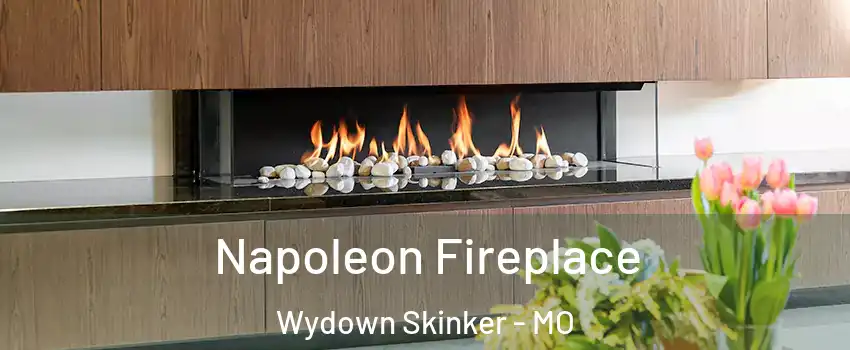 Napoleon Fireplace Wydown Skinker - MO