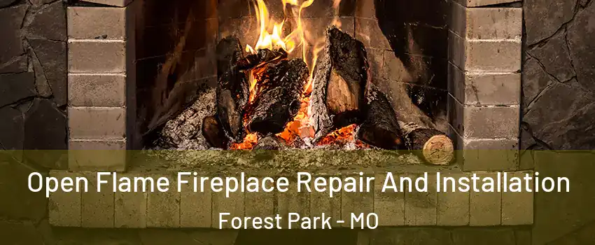 Open Flame Fireplace Repair And Installation Forest Park - MO