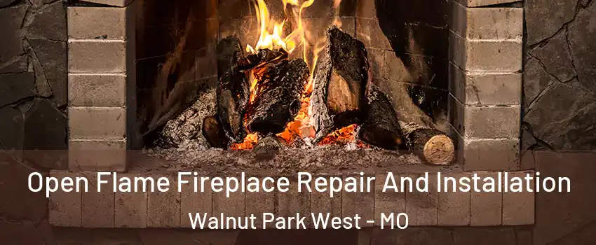 Open Flame Fireplace Repair And Installation Walnut Park West - MO