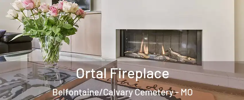 Ortal Fireplace Belfontaine/Calvary Cemetery - MO