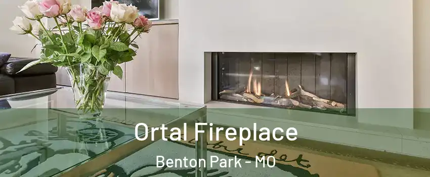 Ortal Fireplace Benton Park - MO