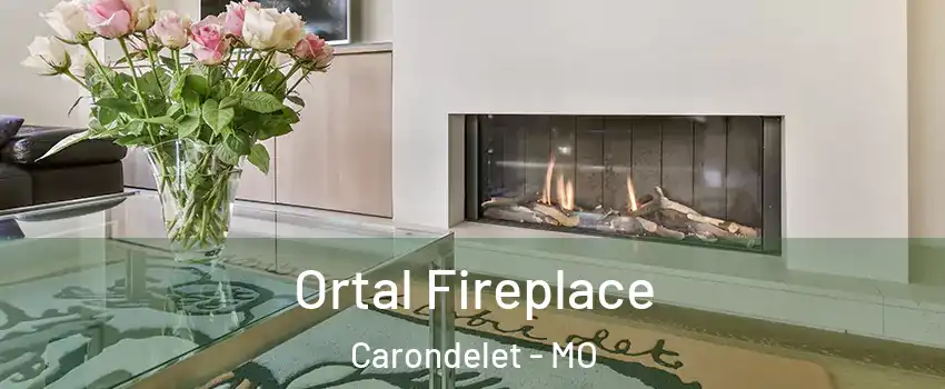 Ortal Fireplace Carondelet - MO