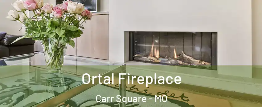 Ortal Fireplace Carr Square - MO