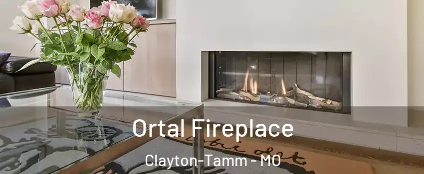 Ortal Fireplace Clayton-Tamm - MO