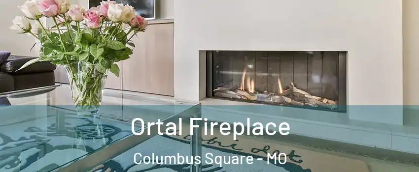 Ortal Fireplace Columbus Square - MO