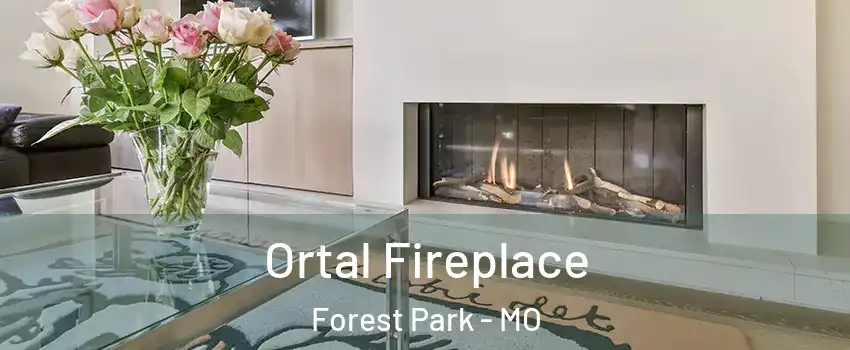 Ortal Fireplace Forest Park - MO