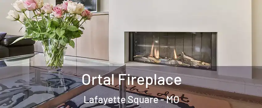 Ortal Fireplace Lafayette Square - MO