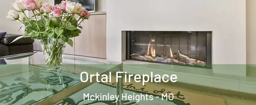Ortal Fireplace Mckinley Heights - MO