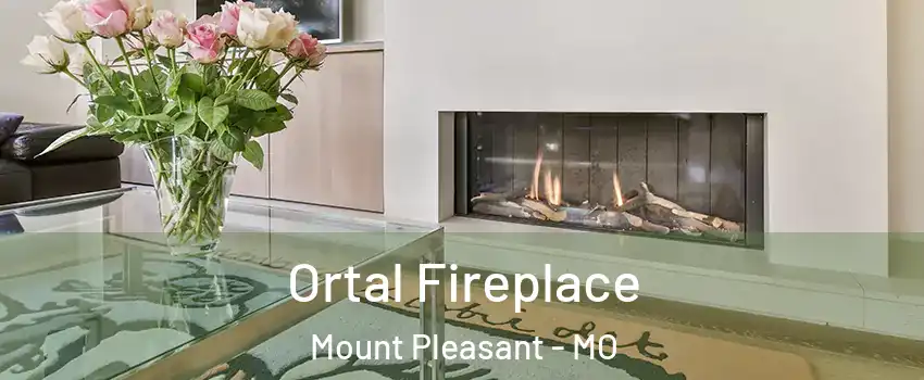 Ortal Fireplace Mount Pleasant - MO