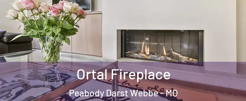 Ortal Fireplace Peabody Darst Webbe - MO