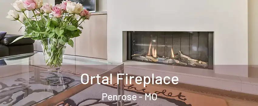 Ortal Fireplace Penrose - MO
