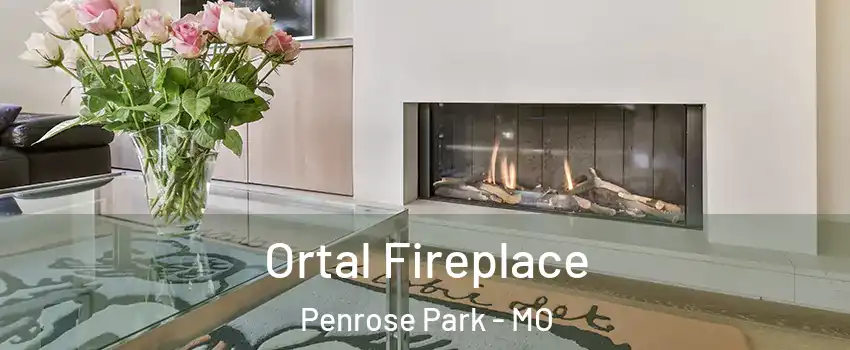 Ortal Fireplace Penrose Park - MO
