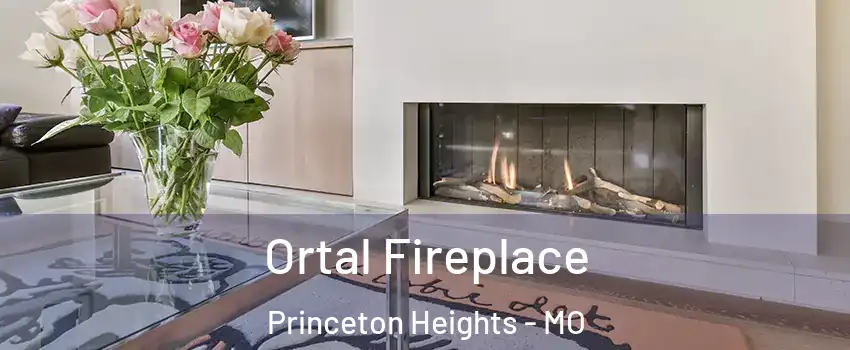 Ortal Fireplace Princeton Heights - MO