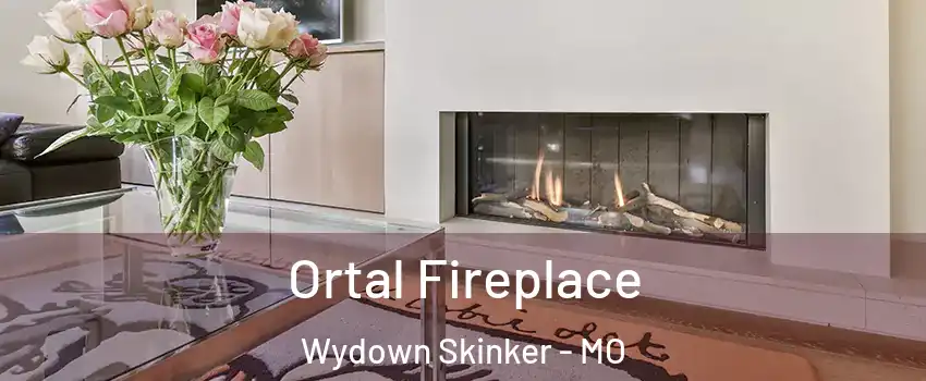 Ortal Fireplace Wydown Skinker - MO