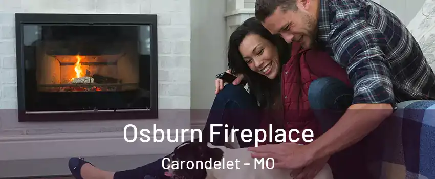 Osburn Fireplace Carondelet - MO