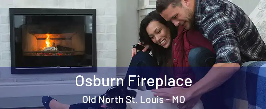 Osburn Fireplace Old North St. Louis - MO