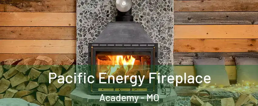 Pacific Energy Fireplace Academy - MO