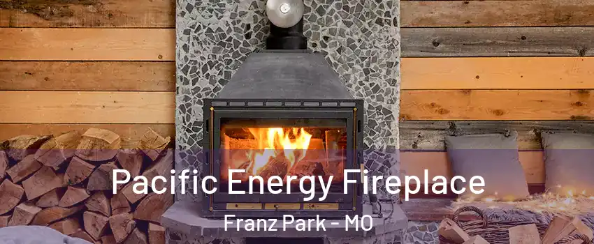 Pacific Energy Fireplace Franz Park - MO