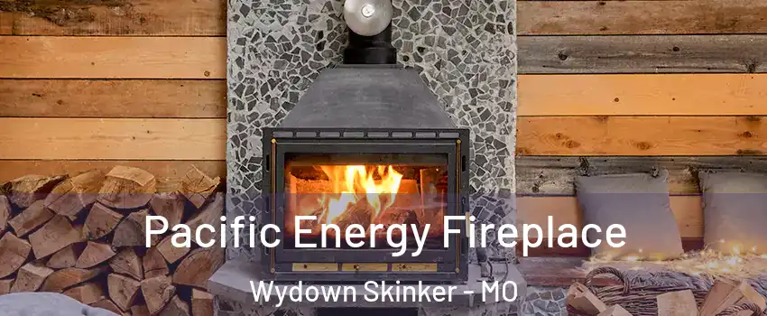 Pacific Energy Fireplace Wydown Skinker - MO