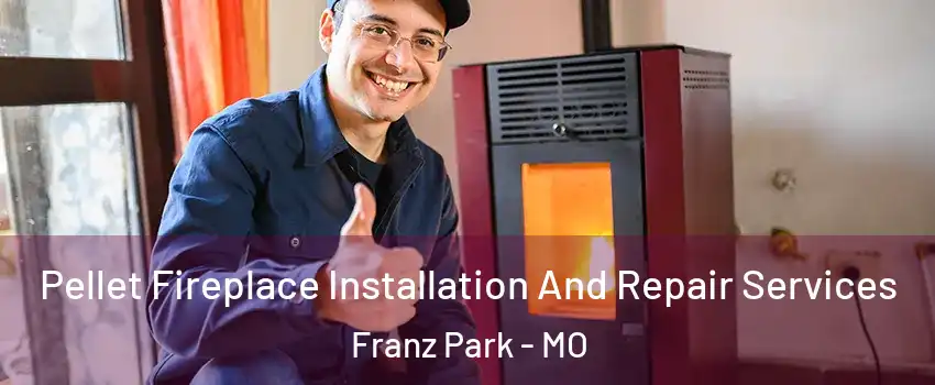 Pellet Fireplace Installation And Repair Services Franz Park - MO