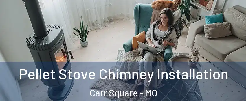 Pellet Stove Chimney Installation Carr Square - MO