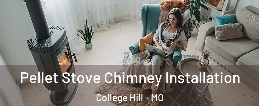 Pellet Stove Chimney Installation College Hill - MO