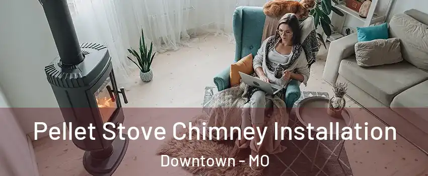 Pellet Stove Chimney Installation Downtown - MO
