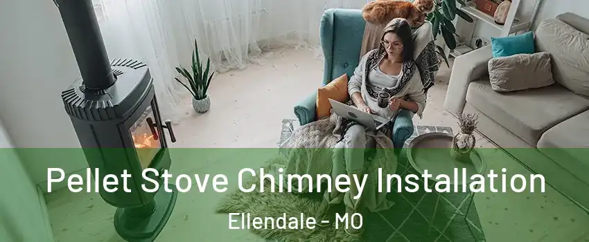 Pellet Stove Chimney Installation Ellendale - MO