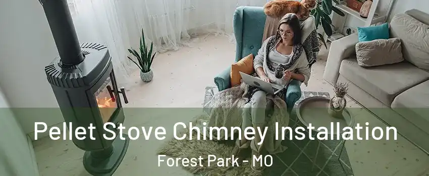 Pellet Stove Chimney Installation Forest Park - MO