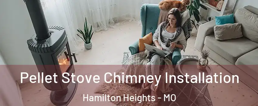 Pellet Stove Chimney Installation Hamilton Heights - MO