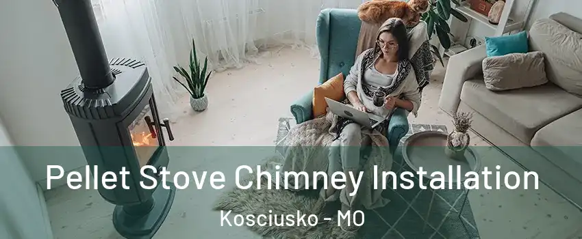 Pellet Stove Chimney Installation Kosciusko - MO