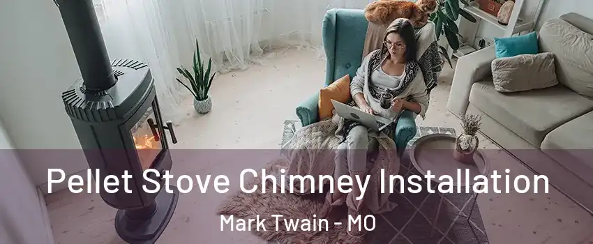 Pellet Stove Chimney Installation Mark Twain - MO