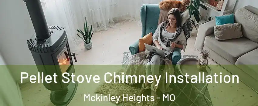 Pellet Stove Chimney Installation Mckinley Heights - MO