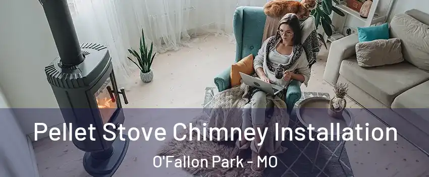 Pellet Stove Chimney Installation O'Fallon Park - MO